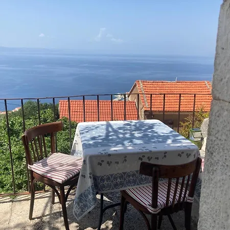 度假居 House Mate