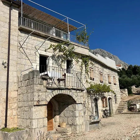 House Mate 度假居