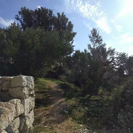 度假居 House Mate 伯德古拉