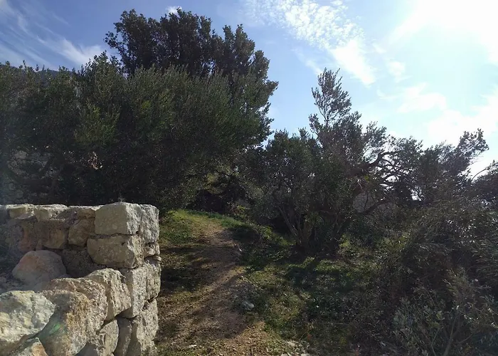 Feriehus House Mate Podgora (Split-Dalmatia)